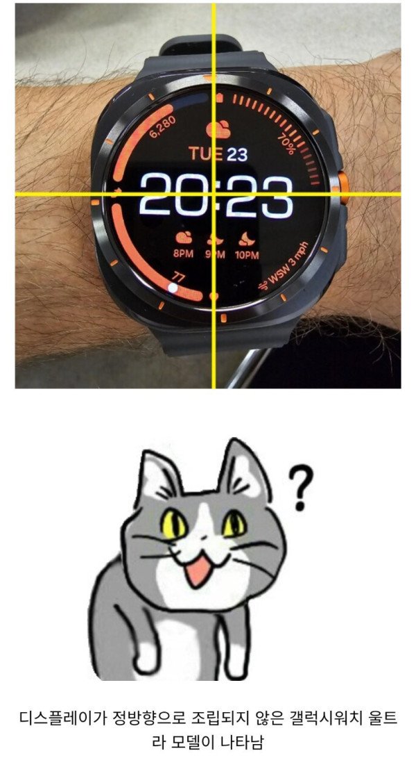 17228541205767.jpeg