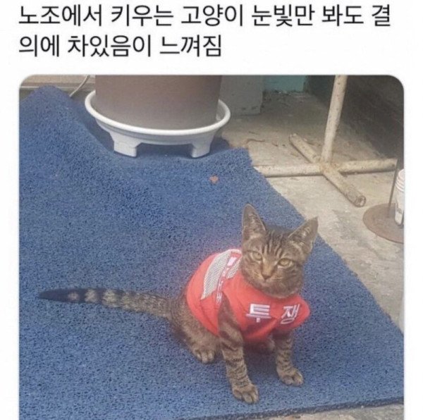 1725869002302.jpeg