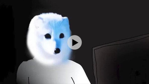 17266391243965.jpeg