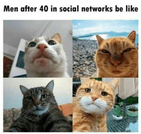 17309809416831.jpeg