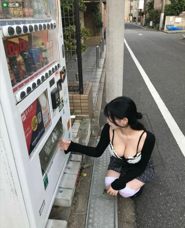 17331841395296.jpeg