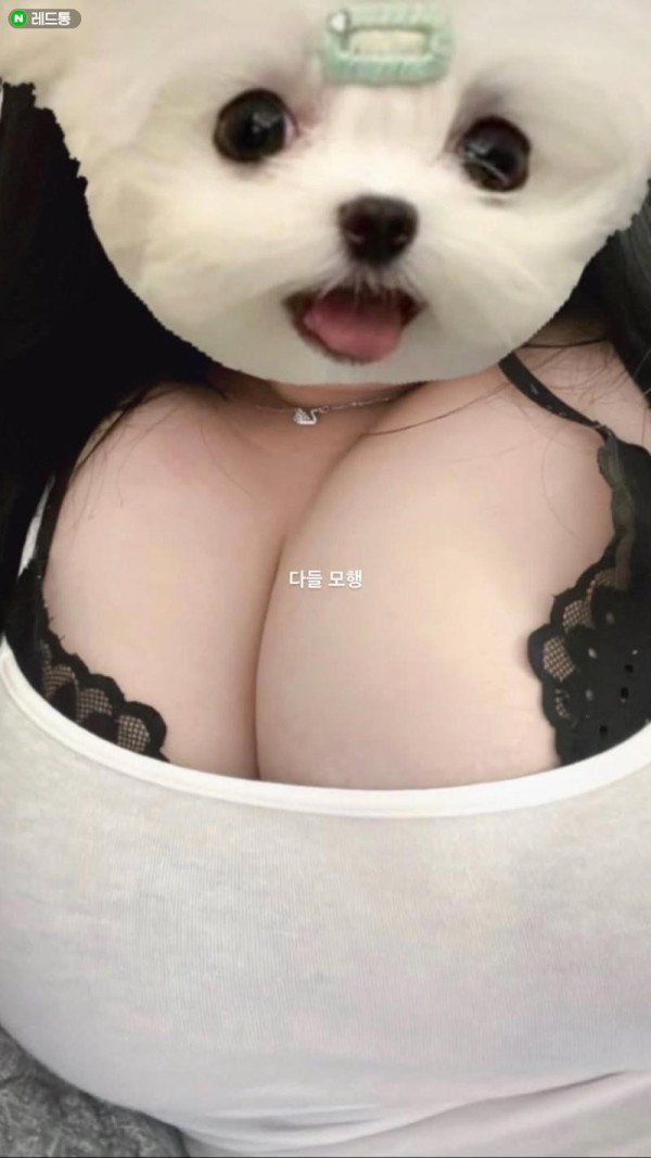 17337457226199.jpeg