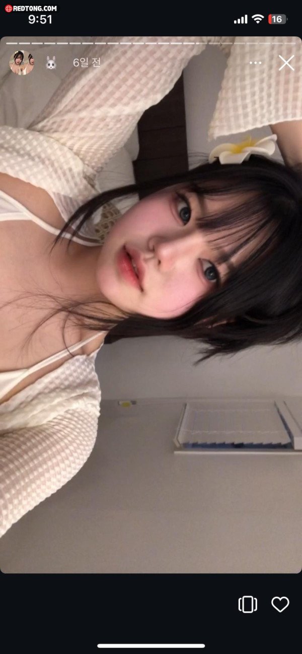 17366833357432.jpeg