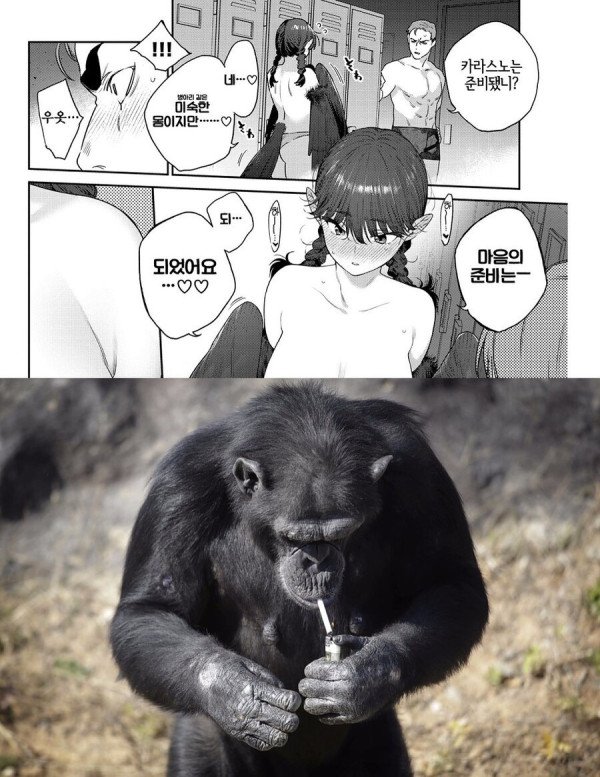 17376770058769.jpeg