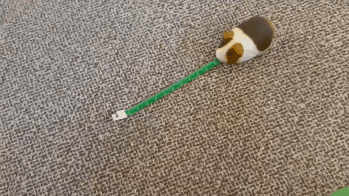 17399233558209.gif