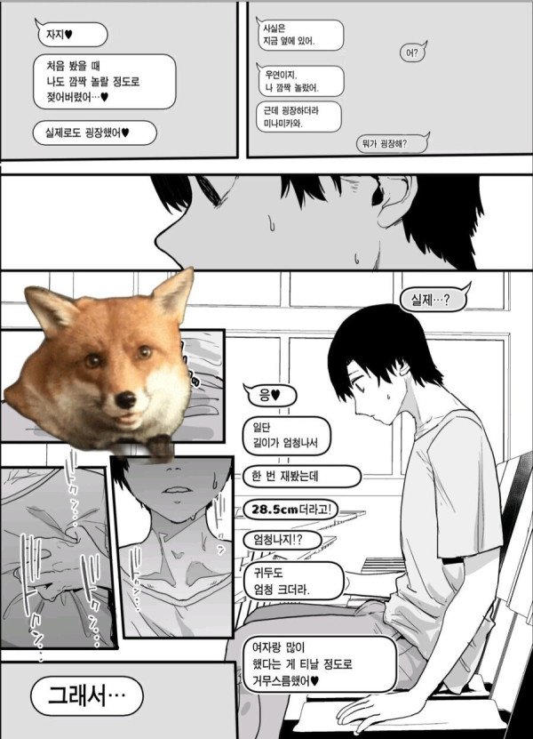 17394914311346.jpeg