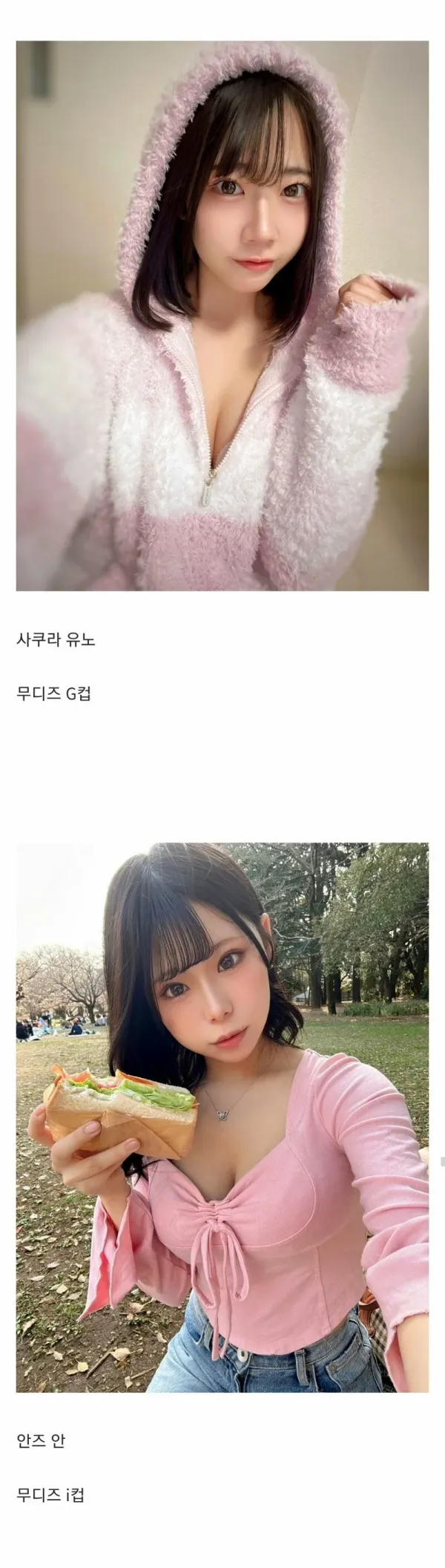 17491680559602.webp